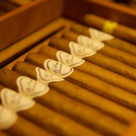 Neuhintertux 4 Sterne Superior Tux