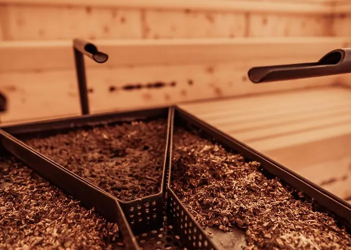 Neuhintertux 4 Sterne Superior 4*